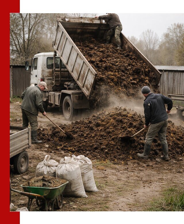 Доставка коровьего навоза самосвалом в Железногорске